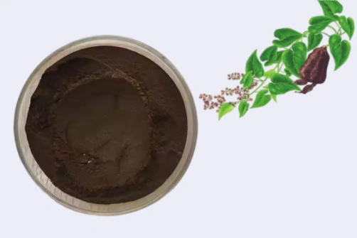 How Can Bulk Fo-Ti Extract Powder Help Brands Expand Plant-Based Ingredient Product Portfolios?